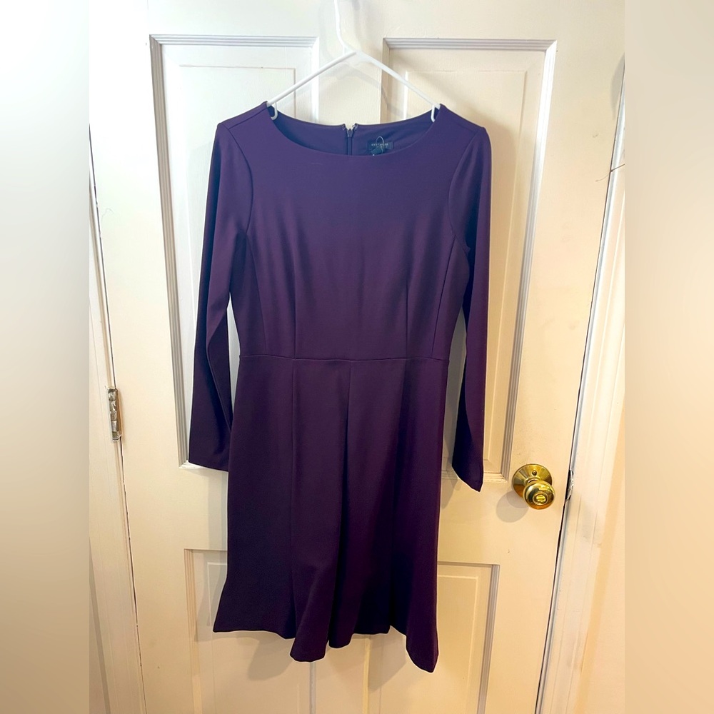 Ann Taylor Deep Purple Long Sleeve Dress